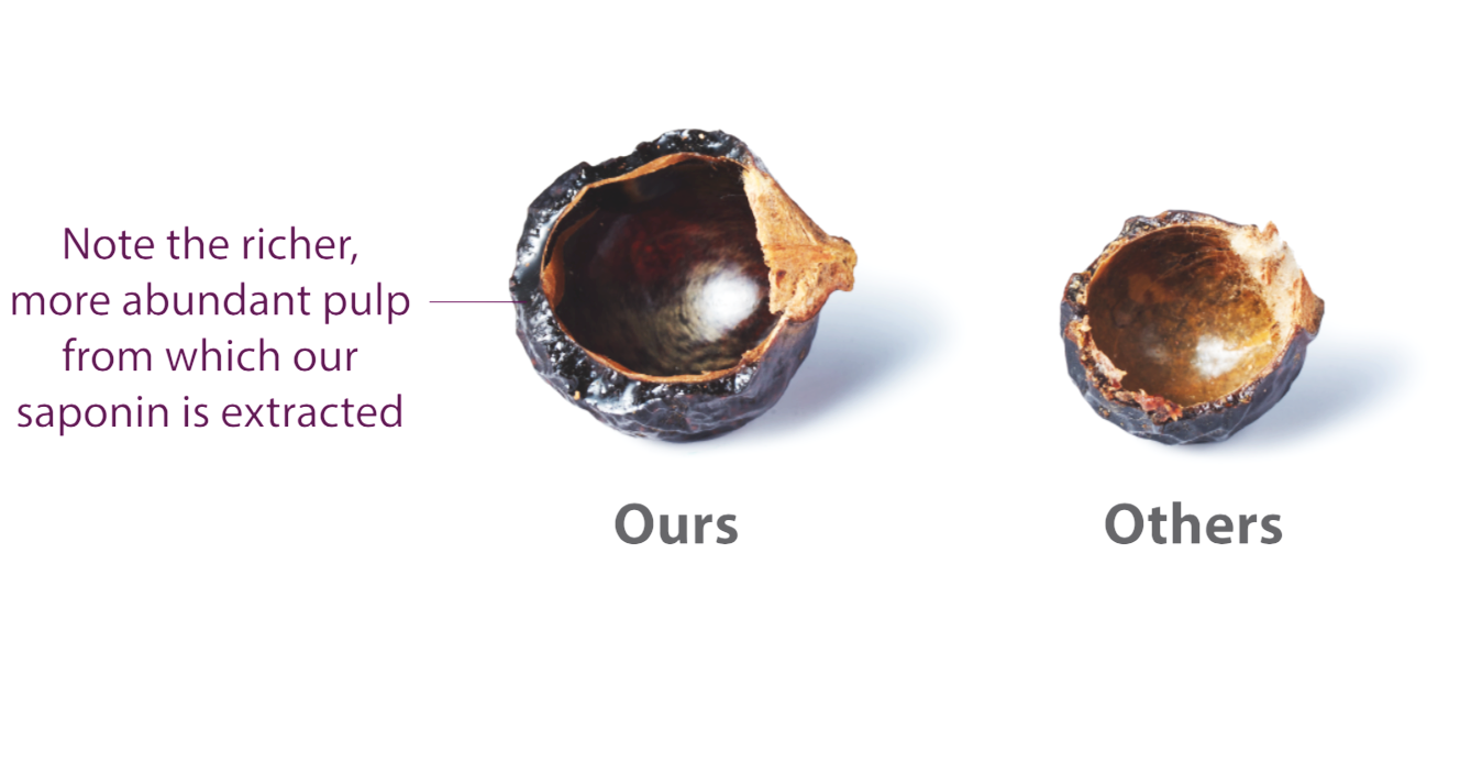 Seed Legend Soapberries; what makes ours different? Not only are they bigger, but we use 100% of each seed.