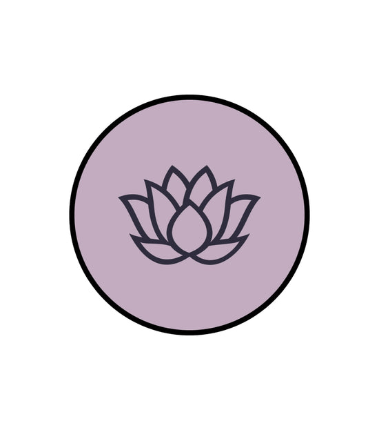 <p><em><strong>Align With Nature</strong></em></p>