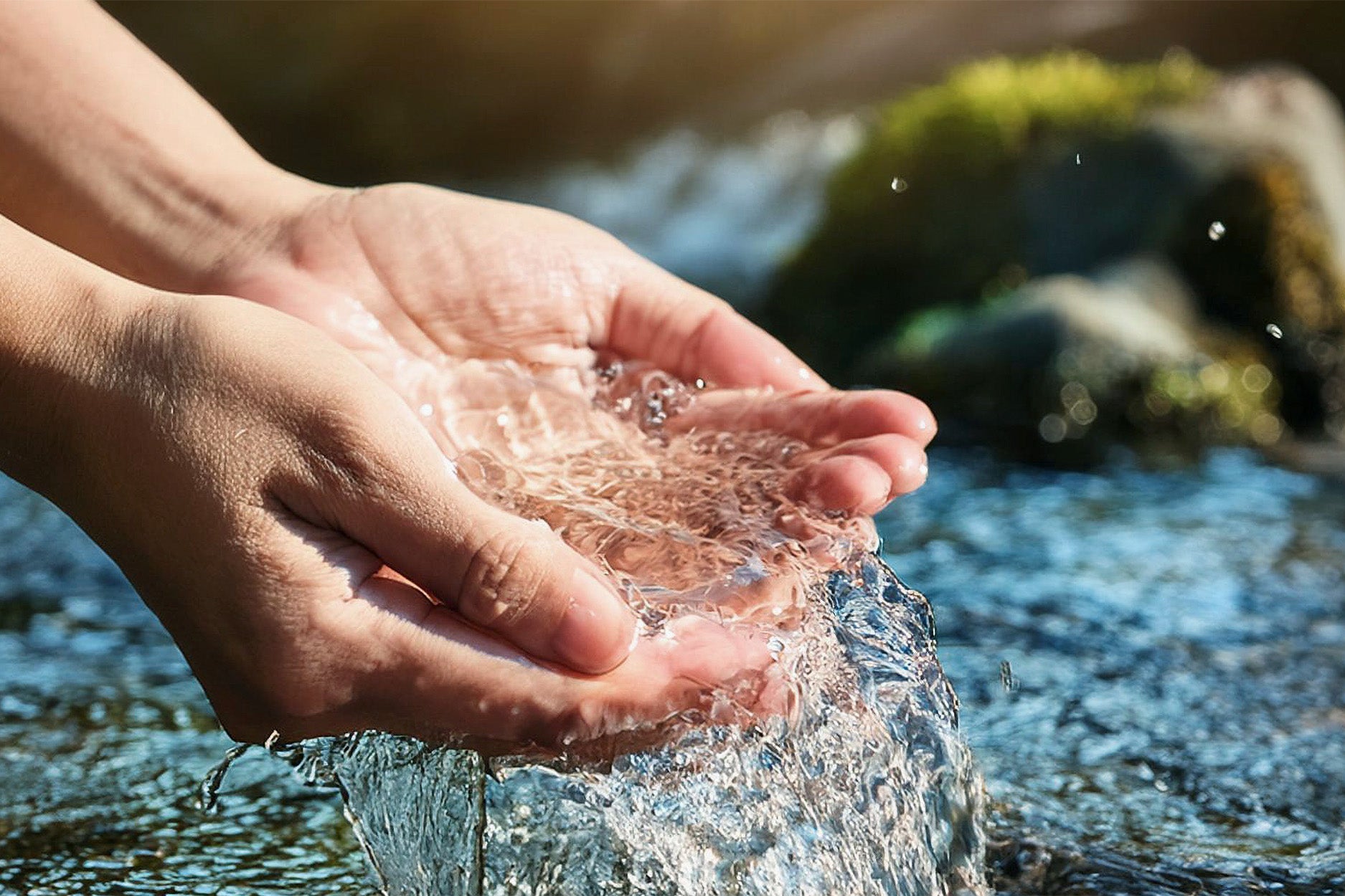 Eco-Camping – Seed Legend