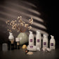 Discovery Kit - FREE SHIPPING to all US + $20 Voucher for future purchase (end soon!)